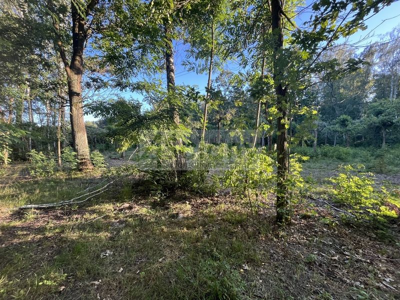 Działka budowlana 7600&nbsp;m², Złotokłos - ID: 15624161