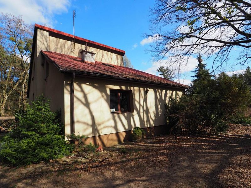 Zdjęcie ogłoszenia -  