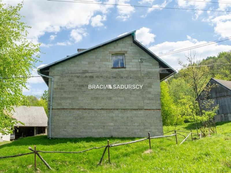 Zdjęcie ogłoszenia -  