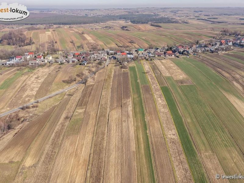 Zdjęcie ogłoszenia -  