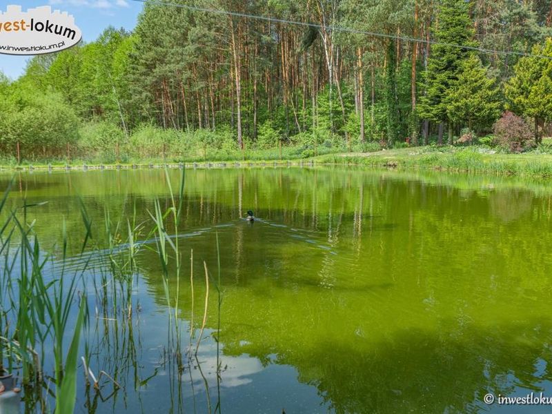 Zdjęcie ogłoszenia -  