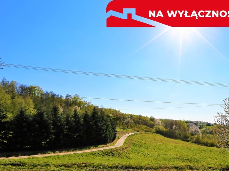 Zdjęcie ogłoszenia -  