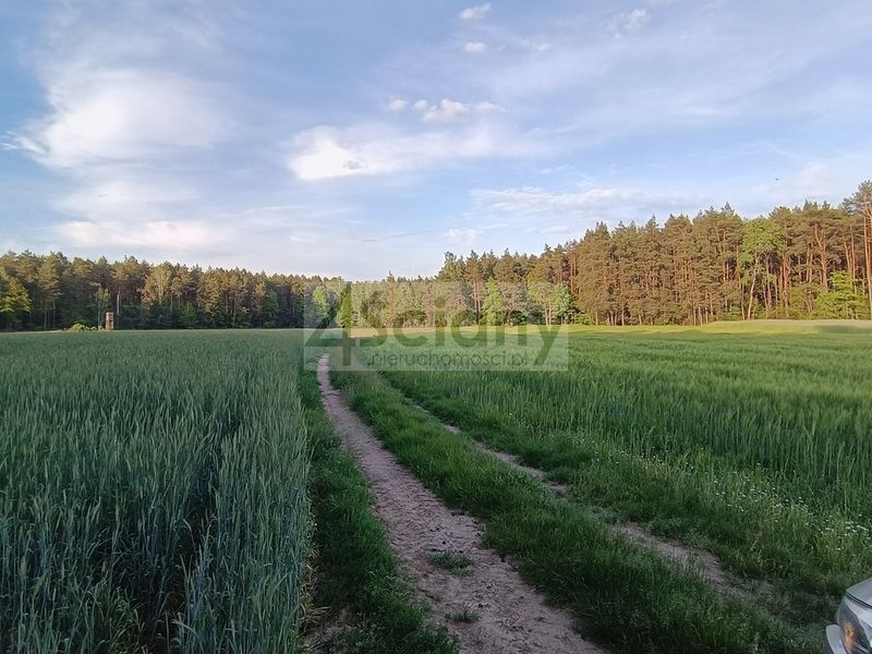 Zdjęcie ogłoszenia -  