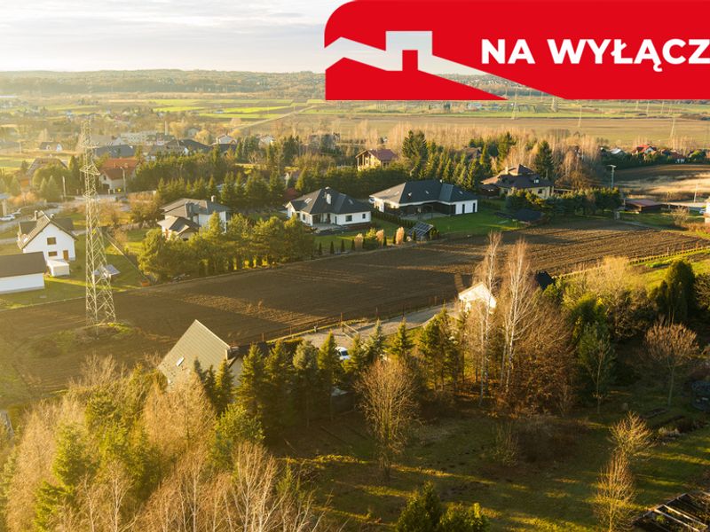 Zdjęcie ogłoszenia -  