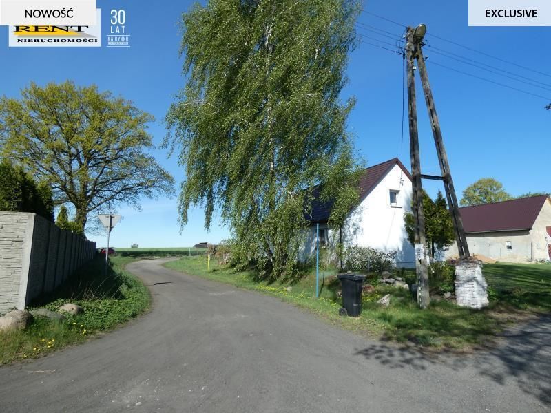 Zdjęcie ogłoszenia -  