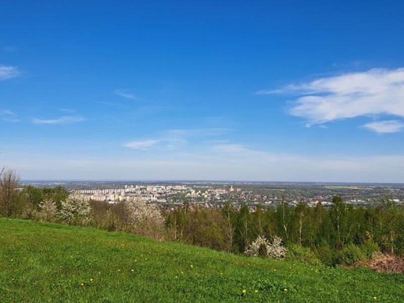 Zdjęcie ogłoszenia -  