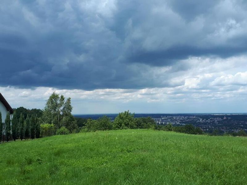 Zdjęcie ogłoszenia -  