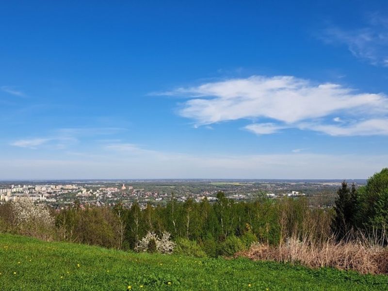 Zdjęcie ogłoszenia -  