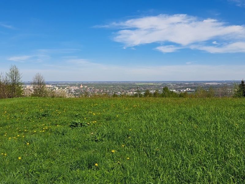Zdjęcie ogłoszenia -  