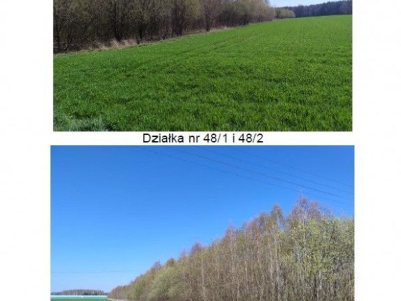 Zdjęcie ogłoszenia -  