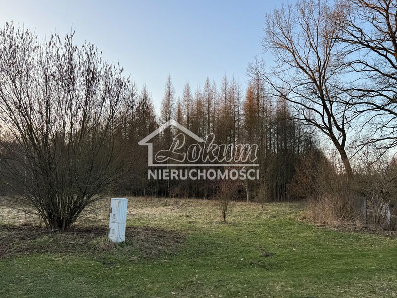 Zdjęcie ogłoszenia -  