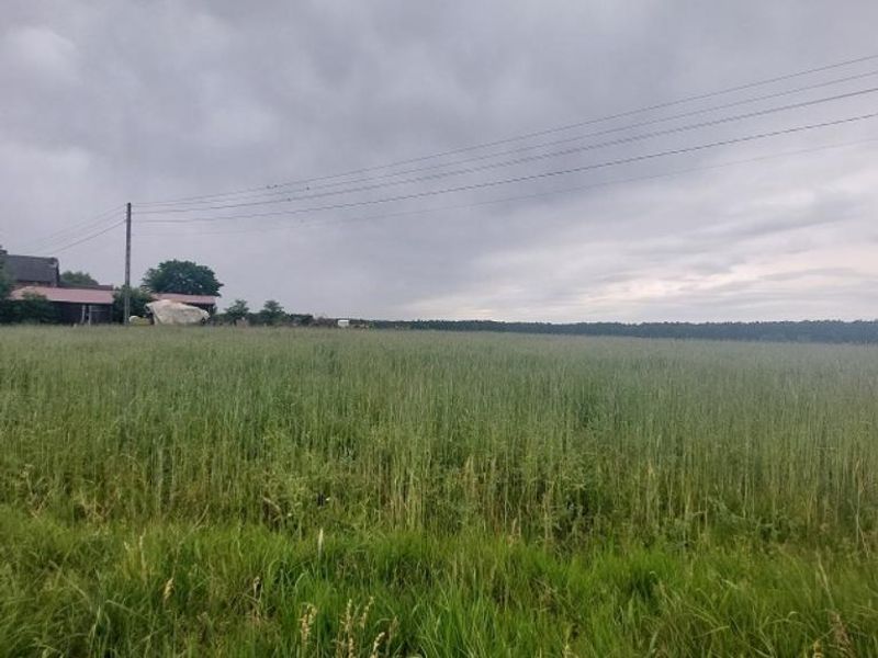 Zdjęcie ogłoszenia -  