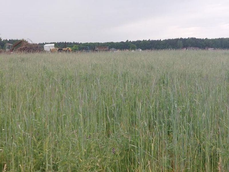 Zdjęcie ogłoszenia -  