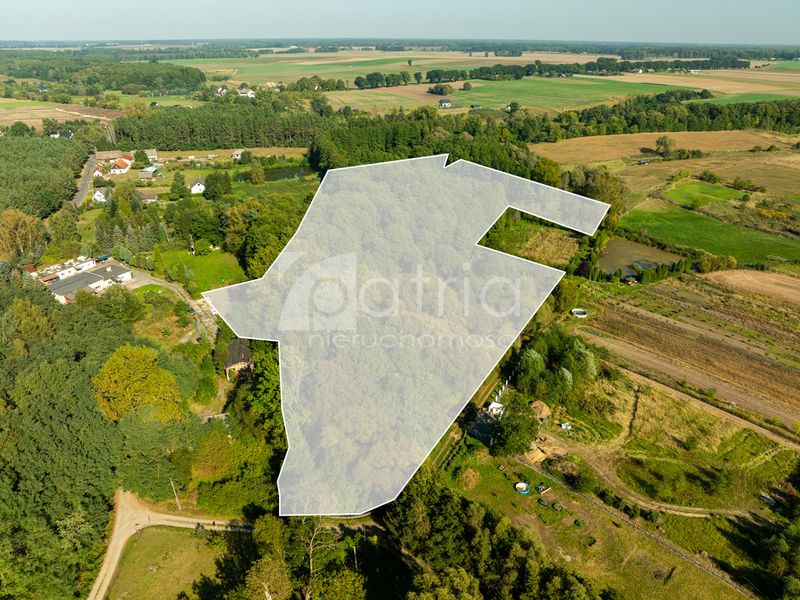 Zdjęcie ogłoszenia -  