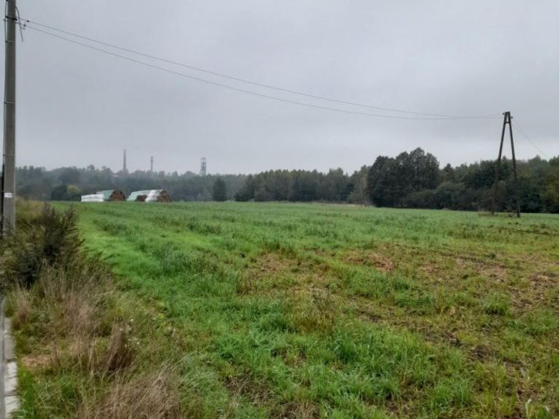 Zdjęcie ogłoszenia -  