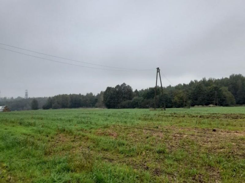 Zdjęcie ogłoszenia -  