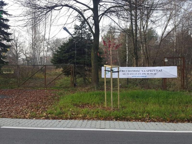 Zdjęcie ogłoszenia -  