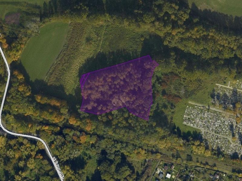 Działka inwestycyjna 1,03&nbsp;ha, Zabrze, Składowa - ID: 15727500