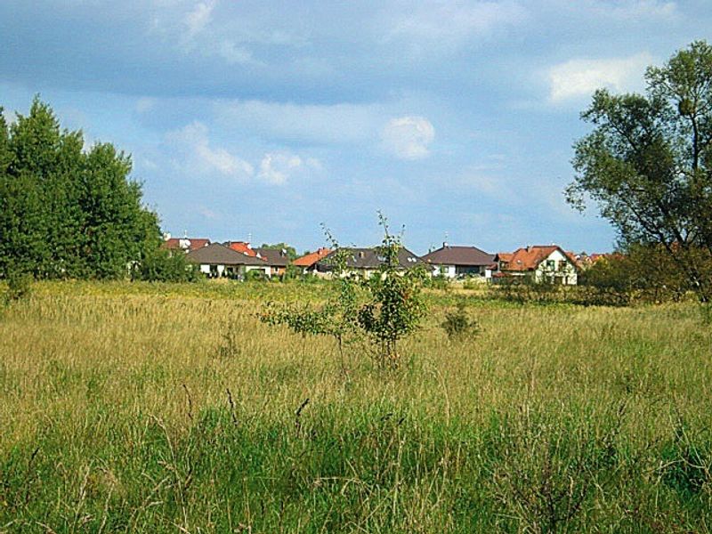 Zdjęcie ogłoszenia -  