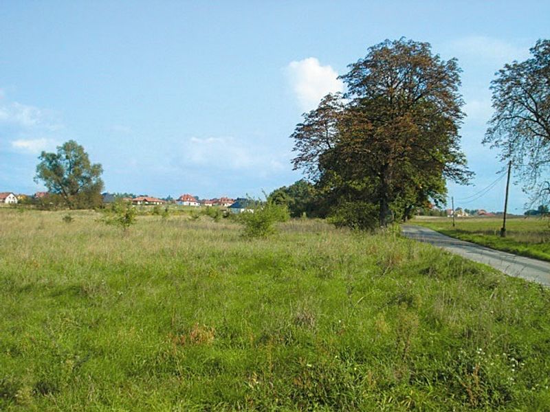 Zdjęcie ogłoszenia -  