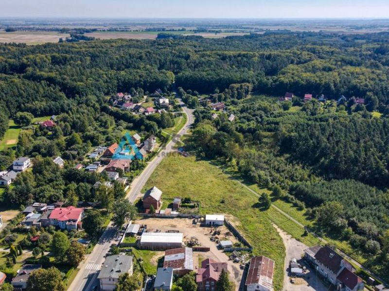 Zdjęcie ogłoszenia -  