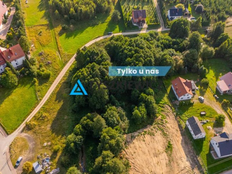 Działka z potencjałem w centrum Skorzewa! - ID: 15741806