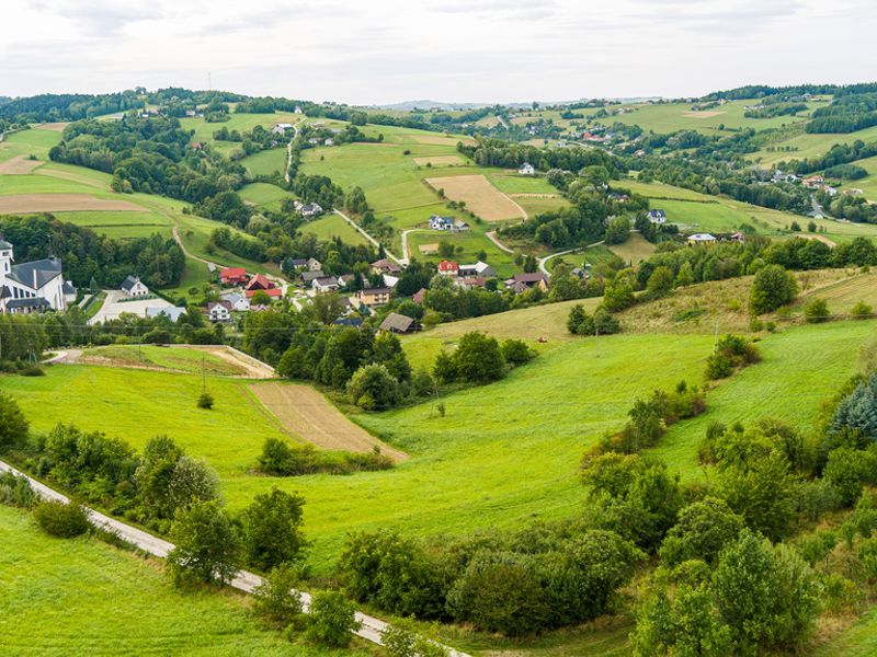Zdjęcie ogłoszenia -  