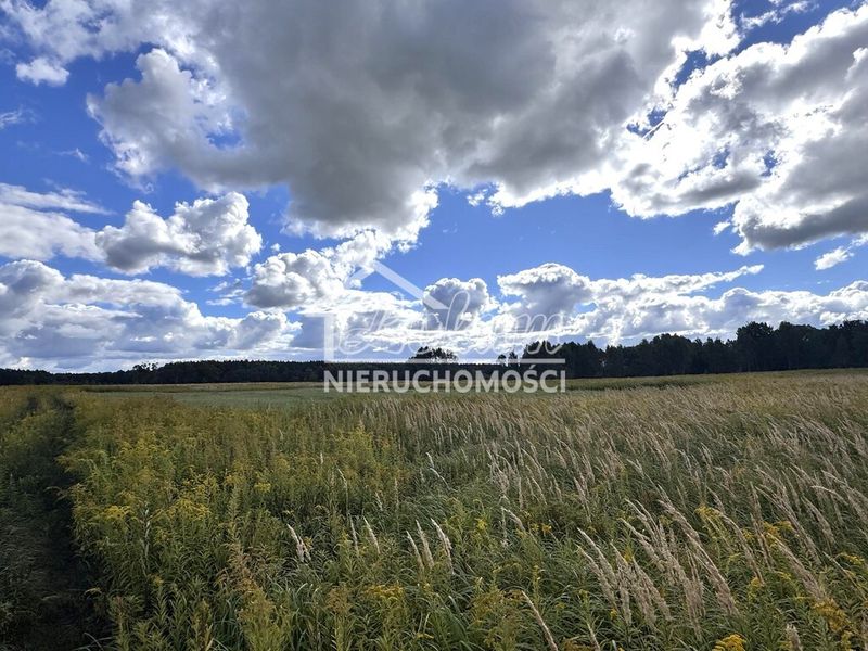 Działka rolna 3024&nbsp;m², Żółwia Błoć - ID: 15746373