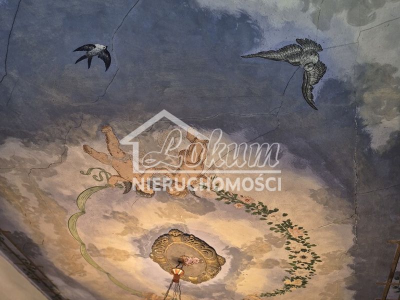 Zdjęcie ogłoszenia -  