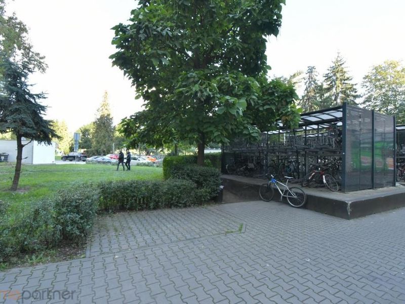 Zdjęcie ogłoszenia -  