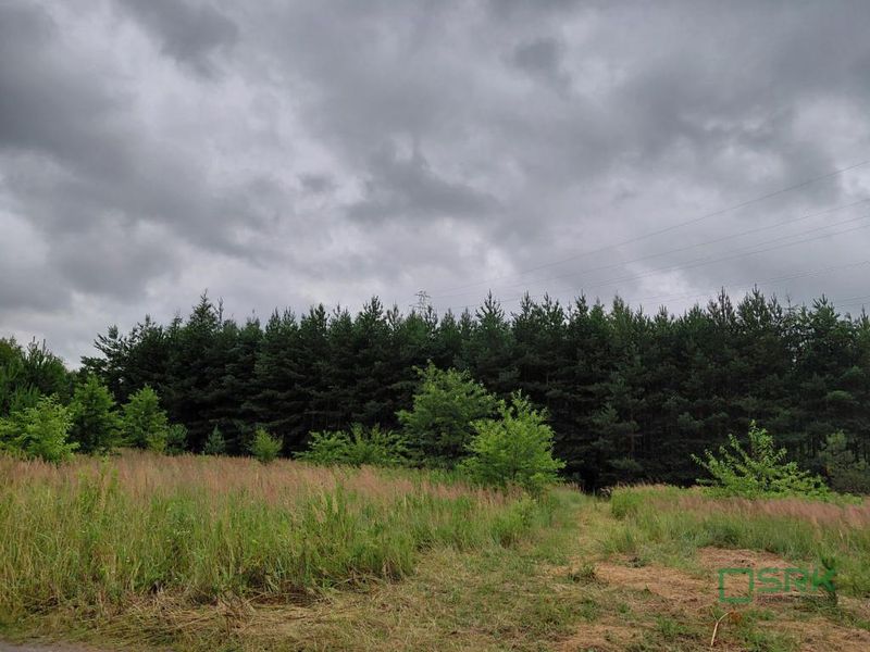 Działka inwestycyjna 1,56&nbsp;ha, Mysłowice, Aleja Spacerowa i  Zacisze - ID: 15775955