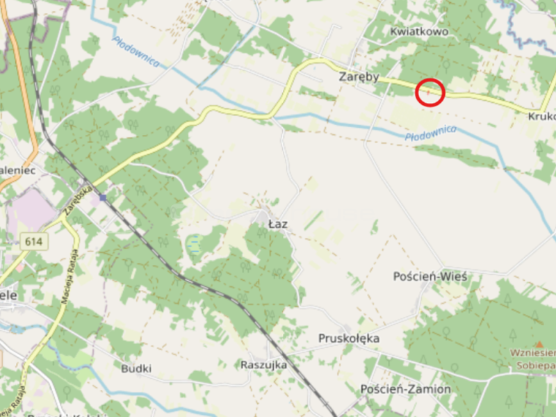 Zdjęcie ogłoszenia -  