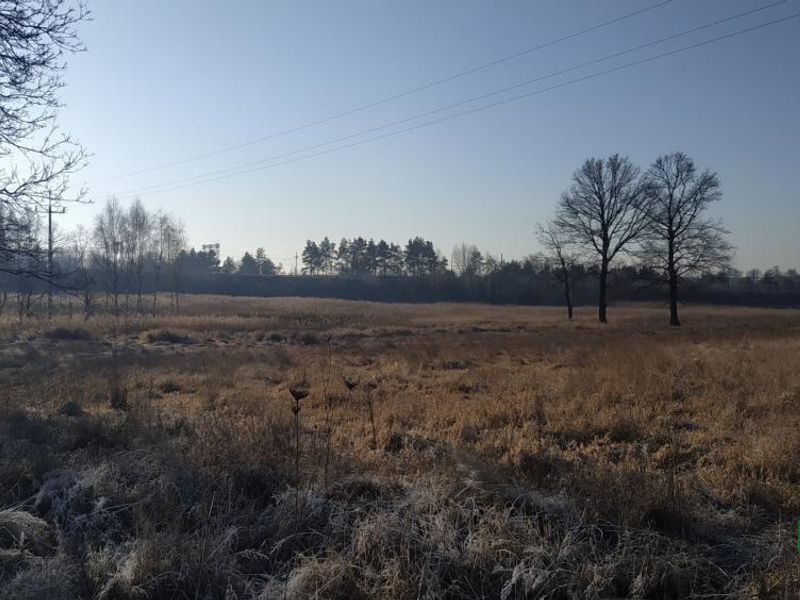 Zdjęcie ogłoszenia -  