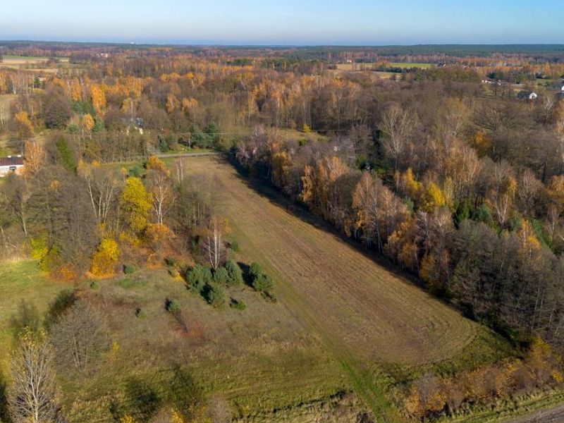 Zdjęcie ogłoszenia -  