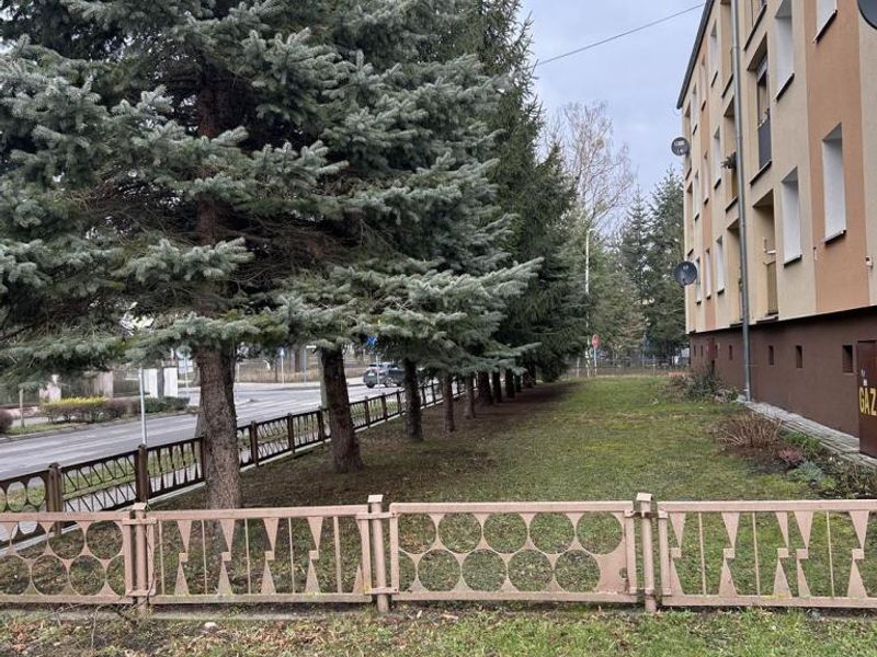 Zdjęcie ogłoszenia -  