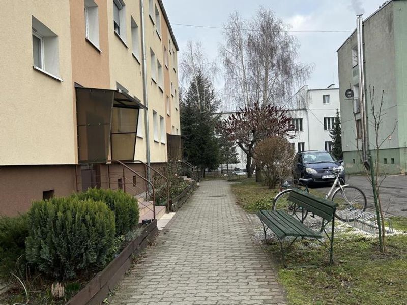 Zdjęcie ogłoszenia -  