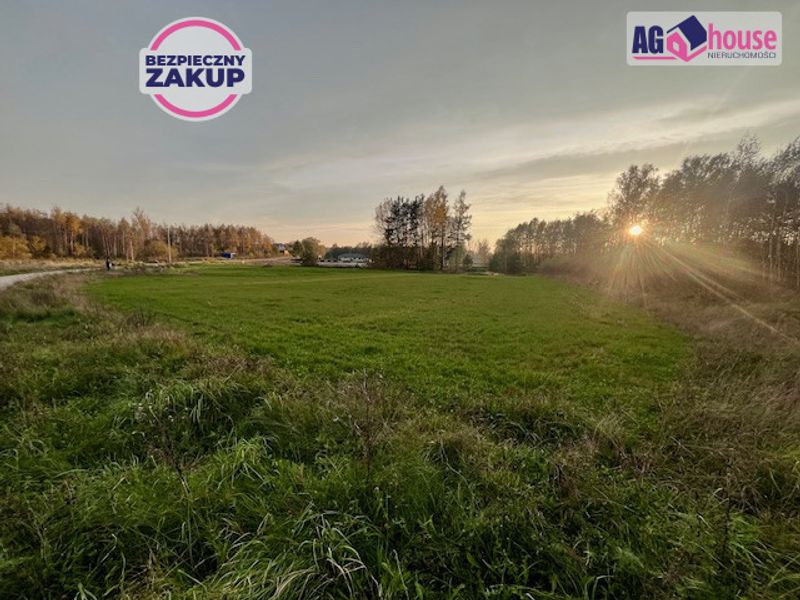 Zdjęcie ogłoszenia -  