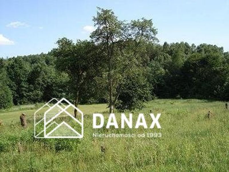 Działka rolna 5000 m², Nielepice - ID: 15806608