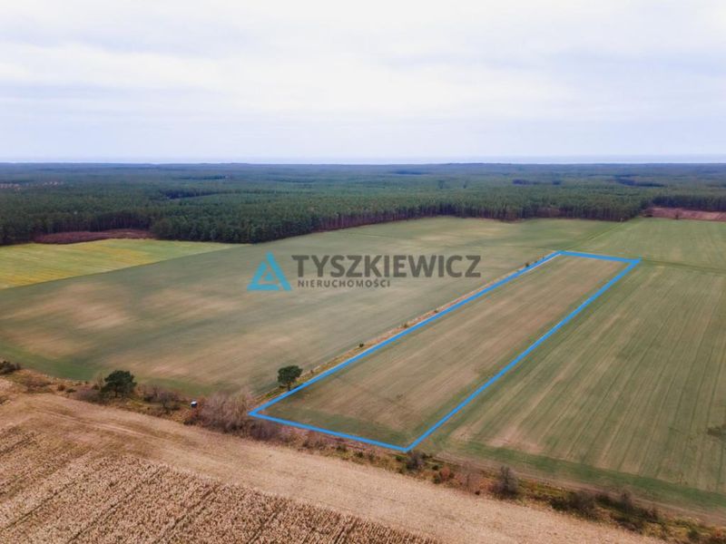 Zdjęcie ogłoszenia -  