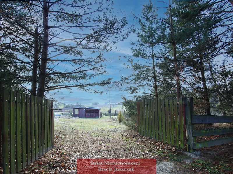 Zdjęcie ogłoszenia -  