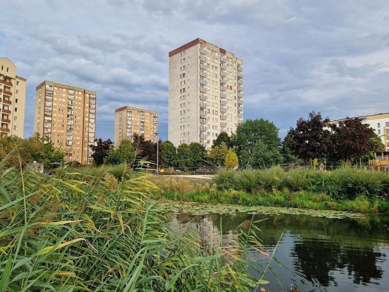 Zdjęcie ogłoszenia -  