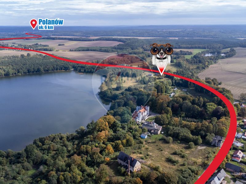 Zdjęcie ogłoszenia -  