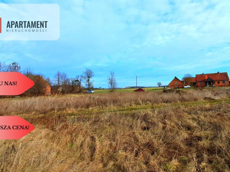 Zdjęcie ogłoszenia -  