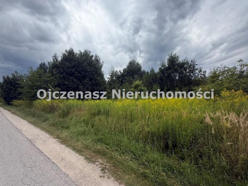 Zdjęcie ogłoszenia -  