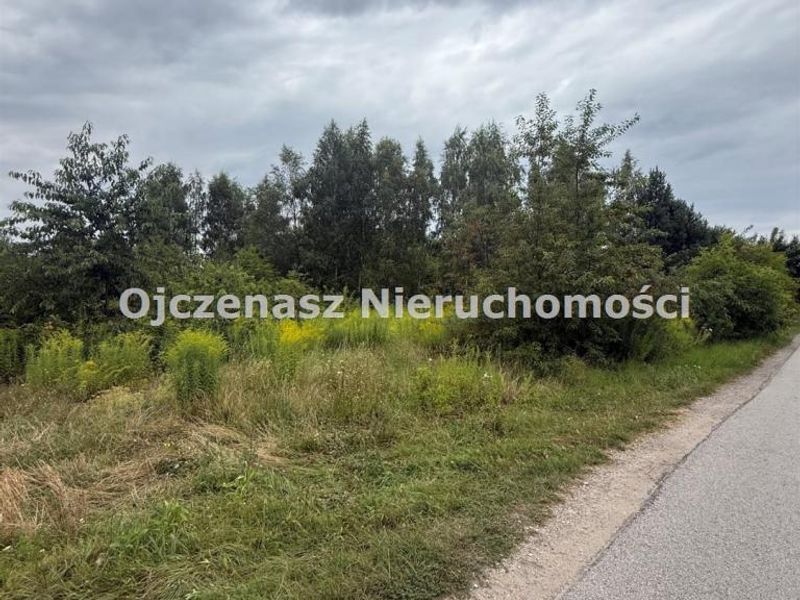Zdjęcie ogłoszenia -  