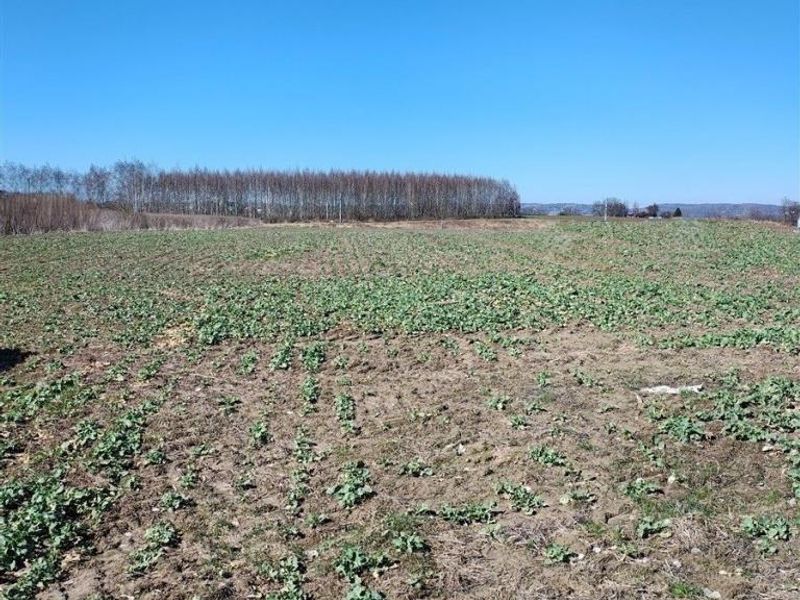 Działka budowlana 2,04 ha, Kryspinów - ID: 15850984