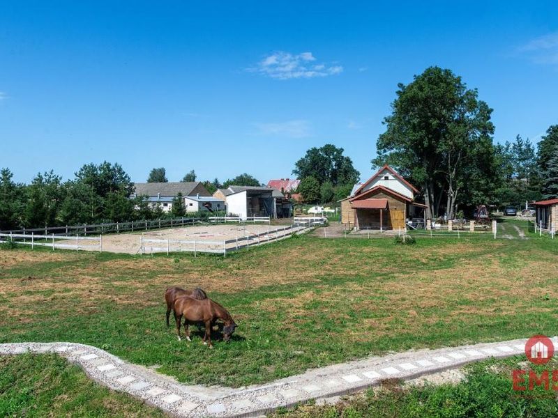 Zdjęcie ogłoszenia -  
