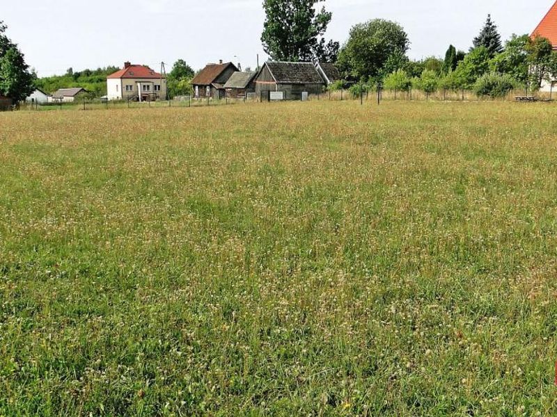 Zdjęcie ogłoszenia -  