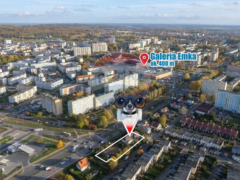 Zdjęcie ogłoszenia -  