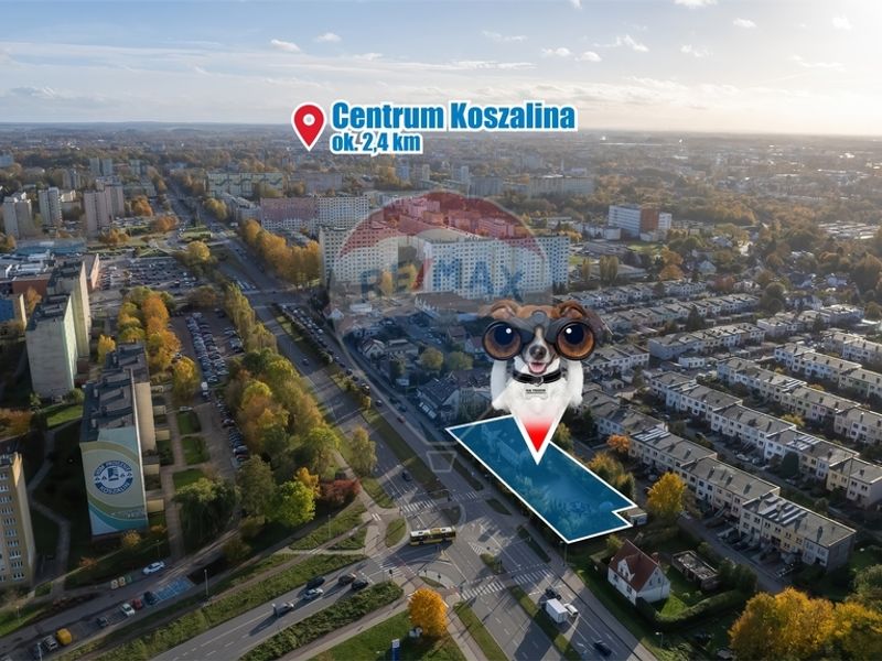 Zdjęcie ogłoszenia -  